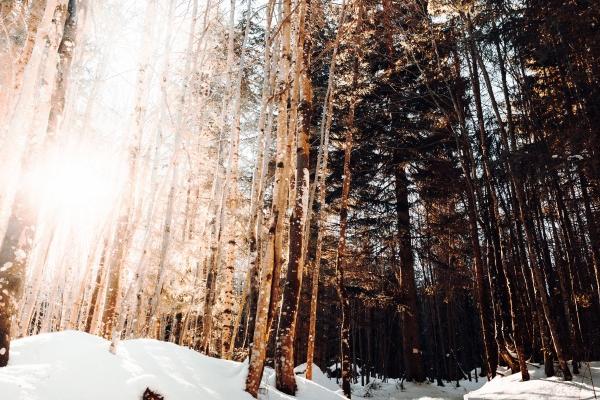 土猪命和什么属相最配