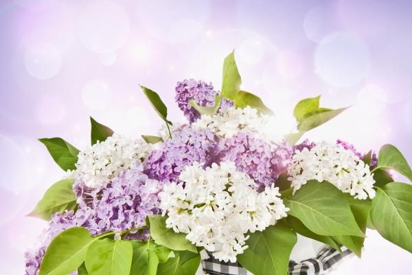 属猴得人搬家忌什么属相，属猴人搬家注意什么