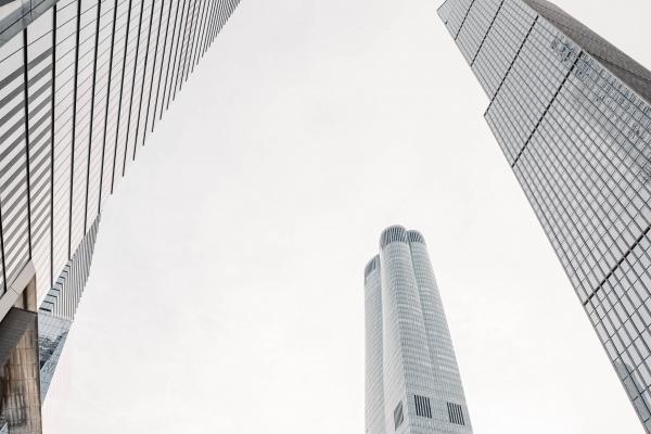 属鼠人命中注定的四大生肖伴侣，相遇即是一生