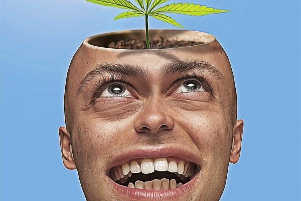 生肖羊命理探源：哪些农历月份出生福报最深厚