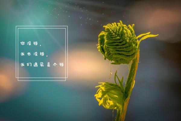 替人驾车入梦来：各命格吉凶方位详解